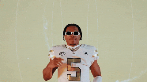 Georgia Tech Football Sport GIF by Georgia Tech Yellow Jackets