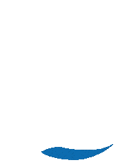 Island Curacao Sticker by DUSHI