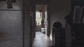 ¿Te acuerdas de Wela?