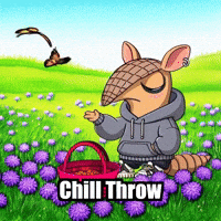 Disc Golf Armadillo GIF by Chillo Dillo