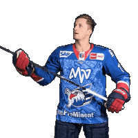 Reichel Sticker by Adler Mannheim
