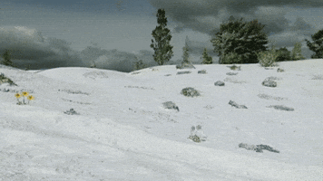 On My Way Hello GIF by Teletubbies