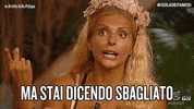 isola13 youre wrong GIF by Isola dei Famosi