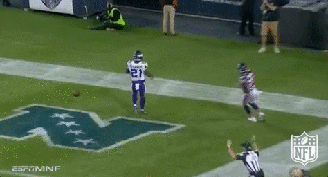 Minnesota Vikings Football GIF by NFL