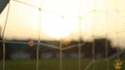 detroitcityfc soccer goal sunset net GIF