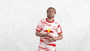 Lets Go Football GIF by RB Leipzig
