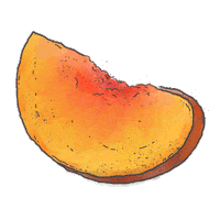 Hard Apple Cider Craftcider Sticker by Brick River Cider