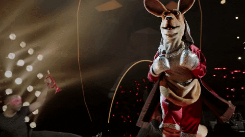 Victory Kangaroo GIF by The Masked Singer