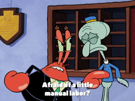 season 4 krusty towers GIF by SpongeBob SquarePants
