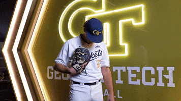 Georgia Tech Baseball GIF by Georgia Tech Yellow Jackets