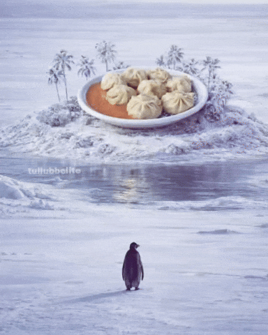 Penguin Momo GIF