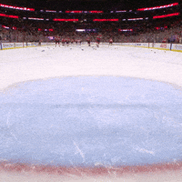 Celebration Win GIF by Florida Panthers