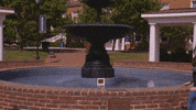 lu lancer GIF by Longwood University