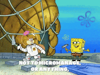 season 8 micromanagement GIF by SpongeBob SquarePants