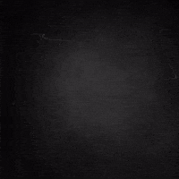SelfID animation logo minimal ring GIF
