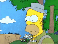 Season 1 GIF by The Simpsons