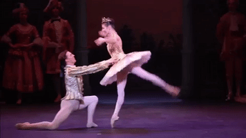 sleeping beauty ballet GIF