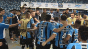 futebol GIF by Grêmio