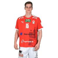 Sport Handball Sticker by HamburgHandball