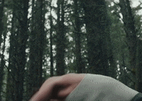 Wonder GIF by Shawn Mendes