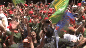 South Africa Sport GIF by Rugby World Cup