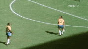 World Cup Football GIF by FIFA