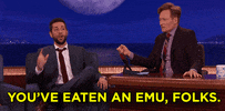 zachary levi disneyland GIF by Team Coco