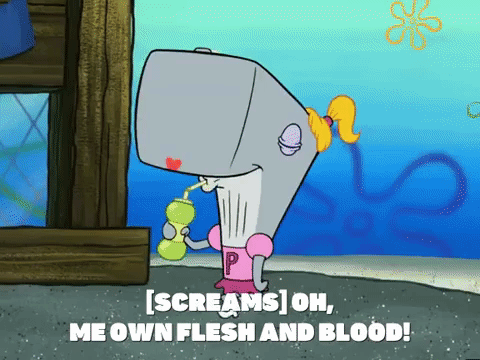 season 4 GIF by SpongeBob SquarePants
