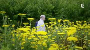 wtf GIF by franceinfo