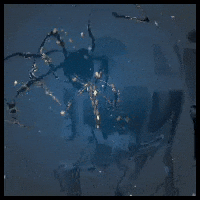 Rain World Echo GIF