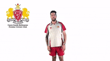 CaseySouthMelbourneCC swans csmcc caseysouthswans GIF