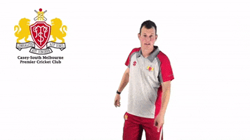 CaseySouthMelbourneCC swans csmcc caseysouthswans GIF