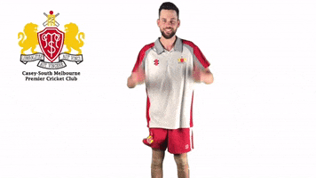 CaseySouthMelbourneCC swans csmcc caseysouthswans GIF