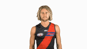 essendonfc dons bombers essendon essendon fc GIF