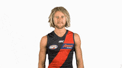 essendonfc dons bombers essendon essendon fc GIF