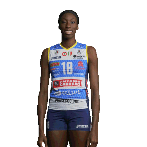 Volleyball Celebrate Sticker by ImocoVolley