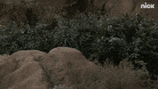 Henry Danger Lol GIF by Nickelodeon