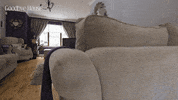 Rte Goodbyehouse GIF by Stellify Media