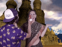 pugliferecords india bollywood pug saree GIF