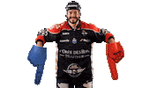 Celebration Goal Sticker by Les Ducs d'Angers