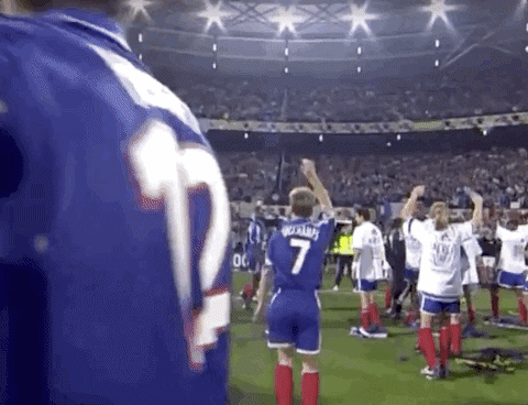 France Sport GIF by UEFA
