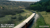 Happy Go Home GIF by MASTERPIECE | PBS