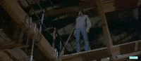 tcm tcm turner classic movies cult classic tcm underground GIF
