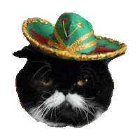 grumpy cat mexican STICKER by imoji