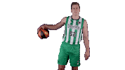 Bouncing Liga Endesa Sticker by ACB