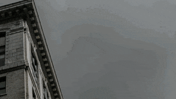 unreal GIF by EchoBoom Sports