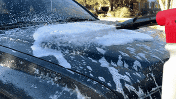 nextzettusa carwash car detailing car cleaning nextzett GIF