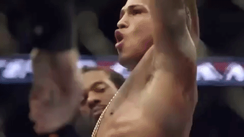 Ufc 206 Mma GIF by UFC