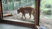 GIF by Digg