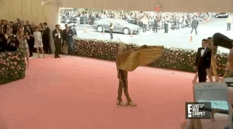 Met Gala 2019 GIF by E!